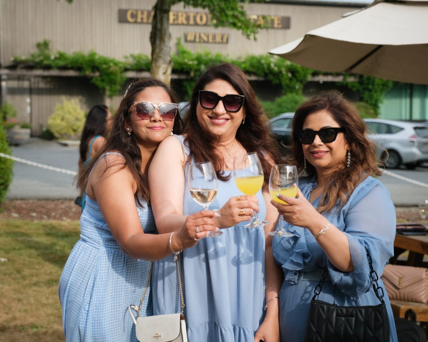 Three friends raising their glasses together in the sunshine at an outdoor celebration
