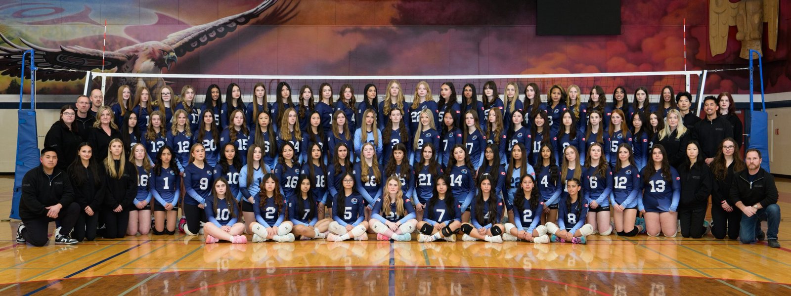 Panoramic full-club photo of every volleyball team and coach lined up across the gym